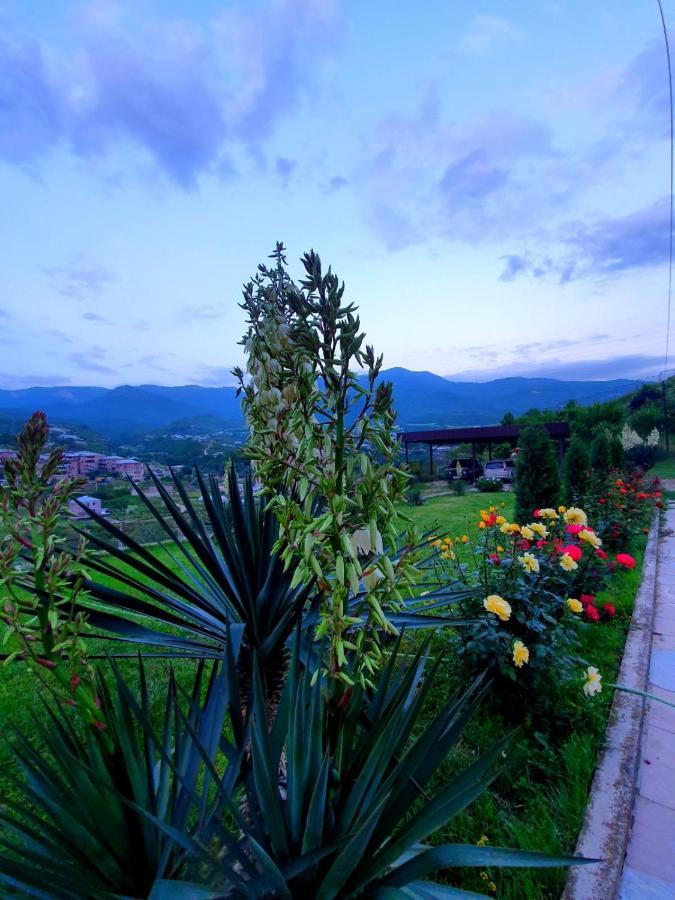 Guest House Ijevan'S Garden Exteriér fotografie