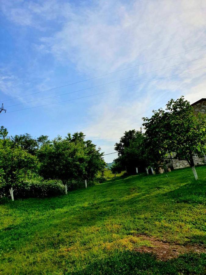 Guest House Ijevan'S Garden Exteriér fotografie