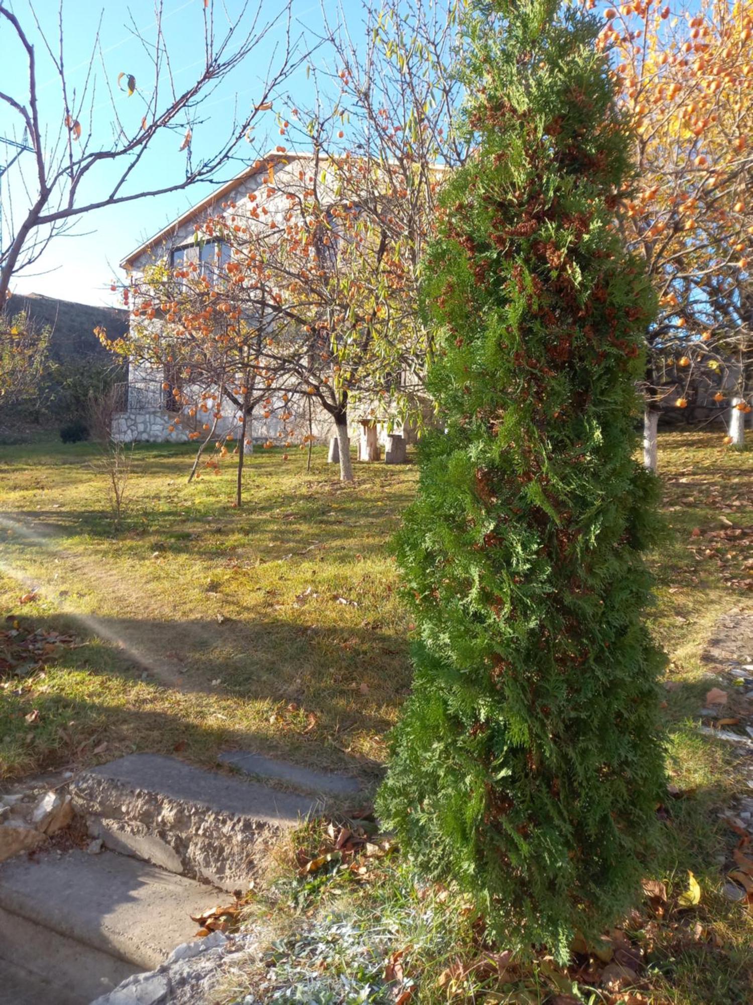 Guest House Ijevan'S Garden Exteriér fotografie