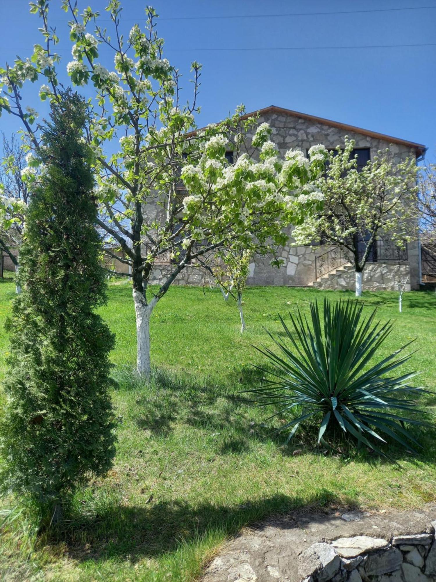 Guest House Ijevan'S Garden Exteriér fotografie