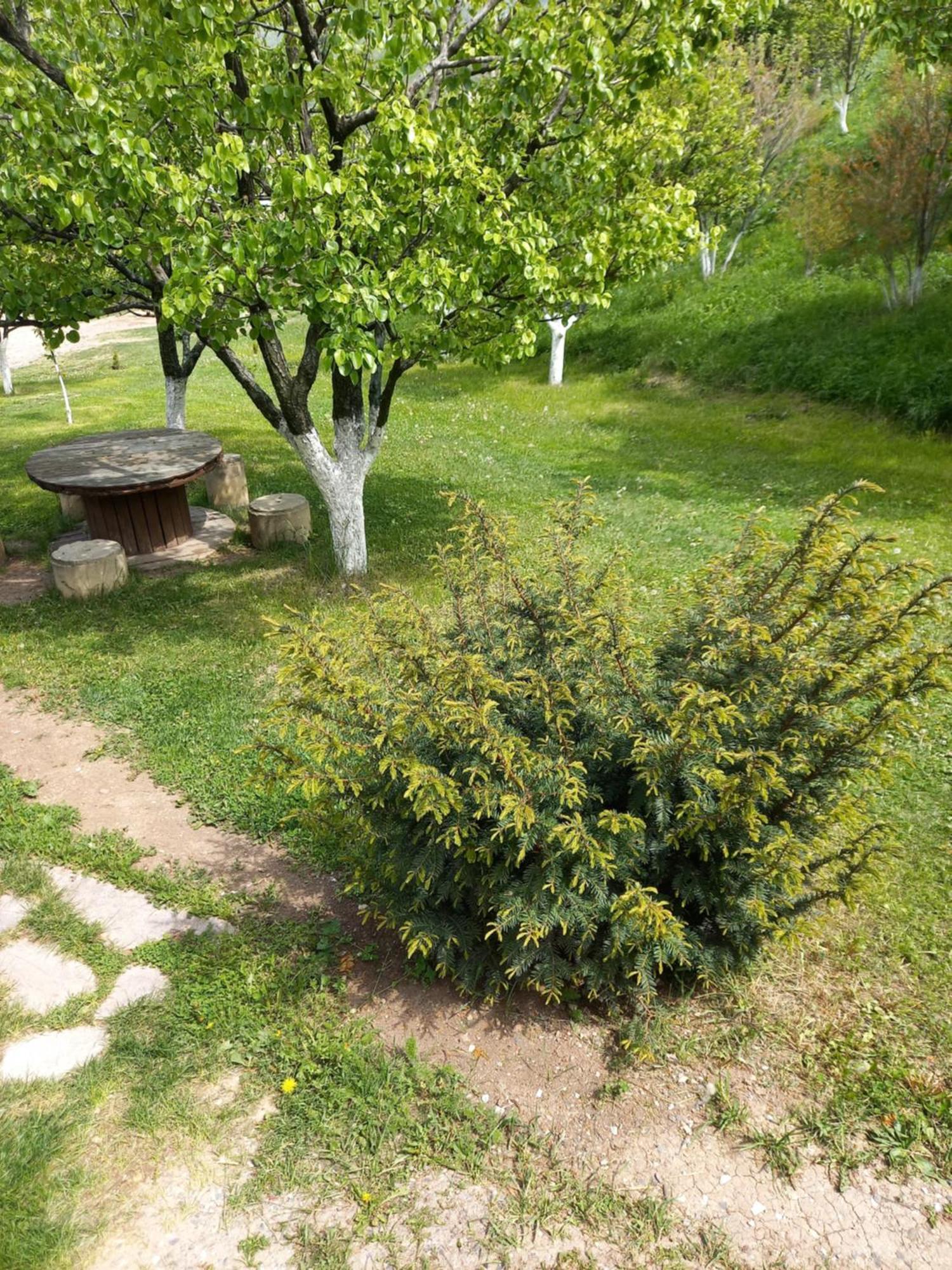 Guest House Ijevan'S Garden Exteriér fotografie