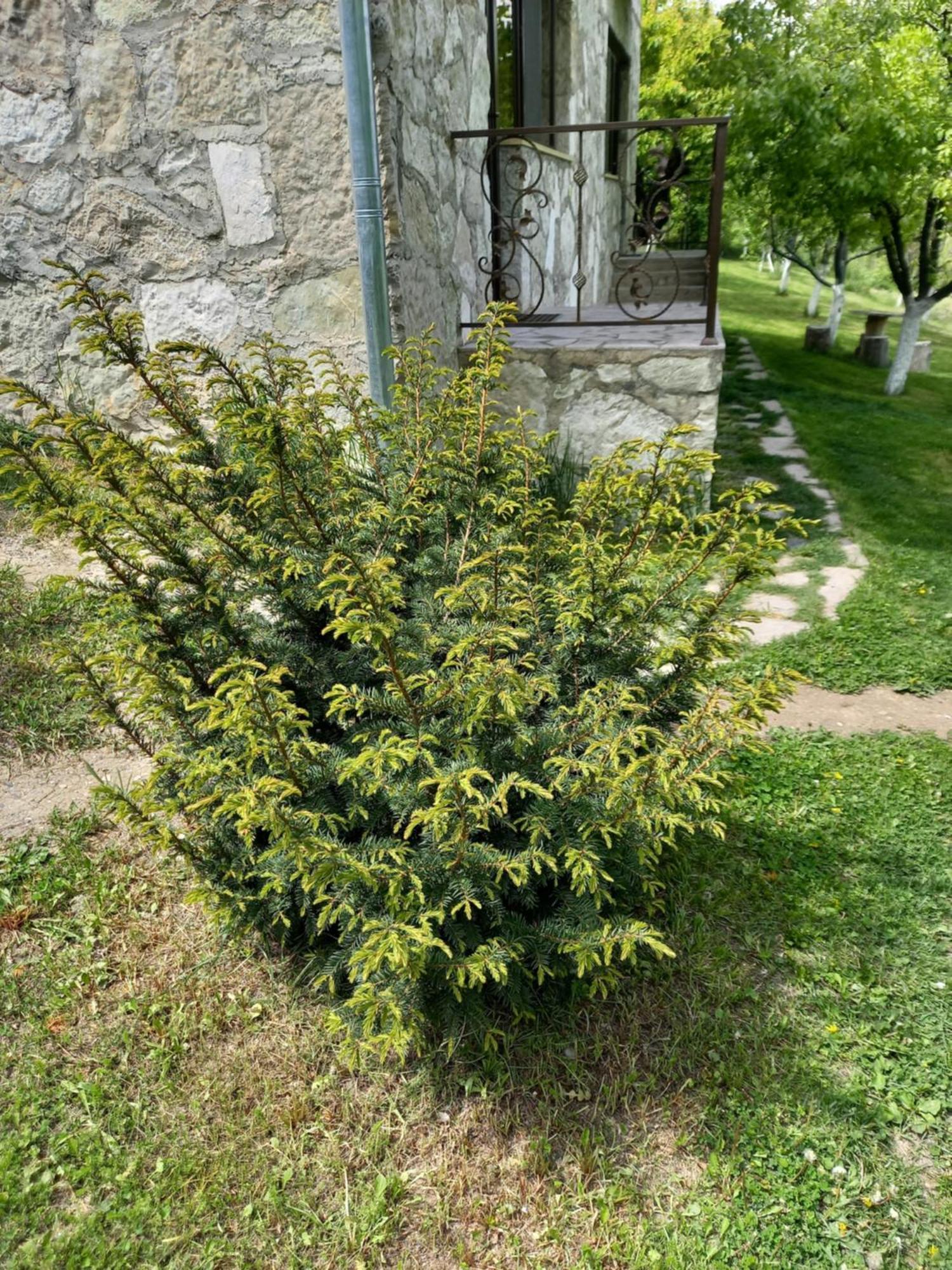 Guest House Ijevan'S Garden Exteriér fotografie