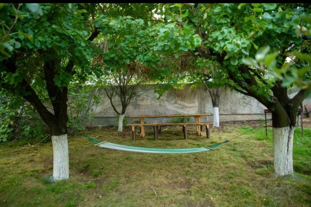 Guest House Ijevan'S Garden Exteriér fotografie